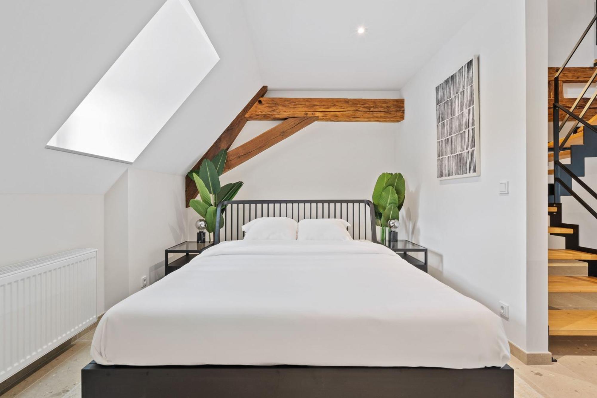 Appartement Elegant Clausen With King Bed & Wifi *